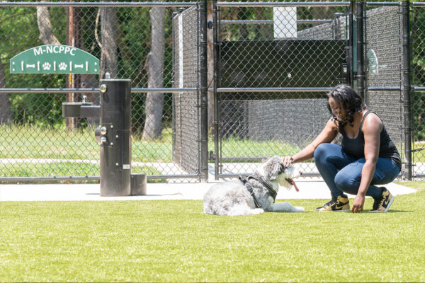 A smiling woman kneels on artificial turf to pet a fluffy, gray and white dog. Behind them is a water fountain and a chain-link fence, outside of which are grass, trees, and a sidewalk.