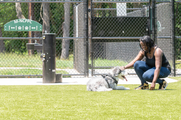 Kentland Dog Park
