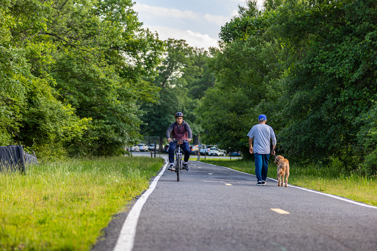 A man walks a dog while a cyclist passes him on an asphalt paved trail with a dotted line down the middle. The trail has grass on both sides, with woods beyond. In the distance is a parking lot full of cars.