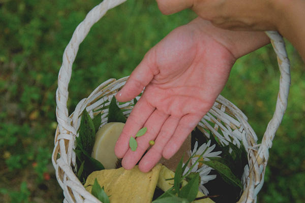 A hand holding tiny leaves above a basket filled with various herbs and flowers.