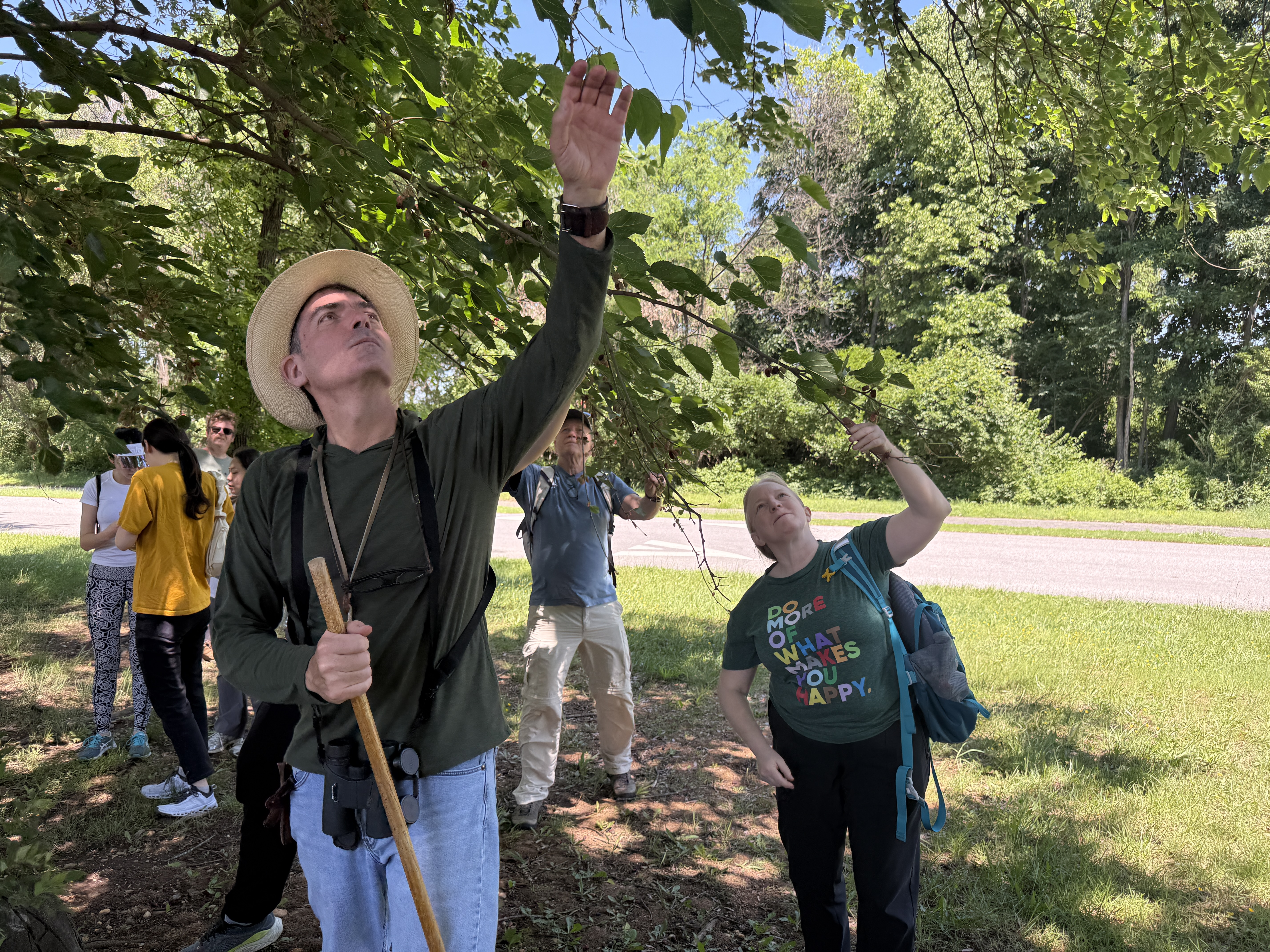 Group of adults examining tree foliage during a guided ecological field observation.