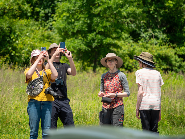Basic Birding 101